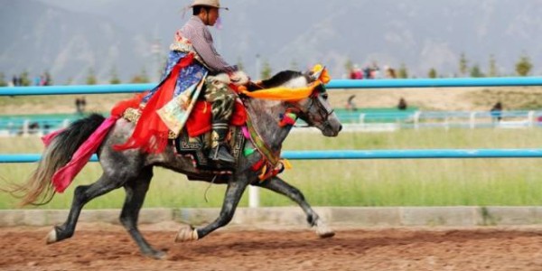  网球摄影大赛征集作品，捕捉赛场上的每一个动人瞬间  