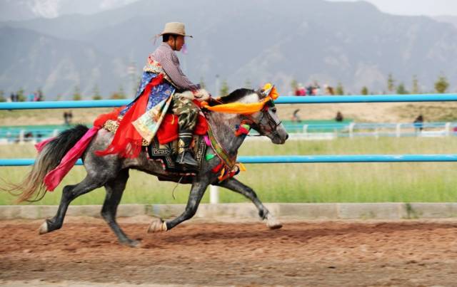  网球摄影大赛征集作品，捕捉赛场上的每一个动人瞬间  